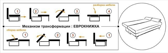 pic_aed58dd2d3db2e6_700x3000_1.jpg