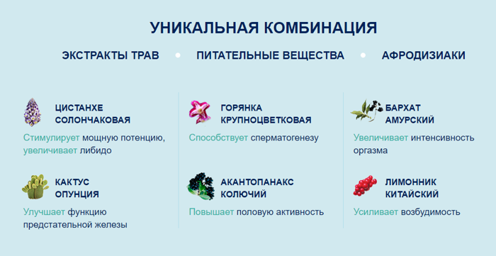 lm потенция гомеопатия купить Lm потенция гомеопатия купить эффективны упражнения напряжение