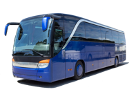 Автобусы