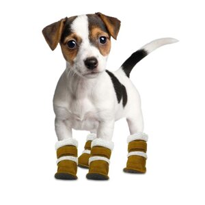 Взуття та шкарпетки для домашніх тварин в Запоріжжі