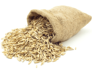 Послуги сушки і зберігання зернових в Сумах