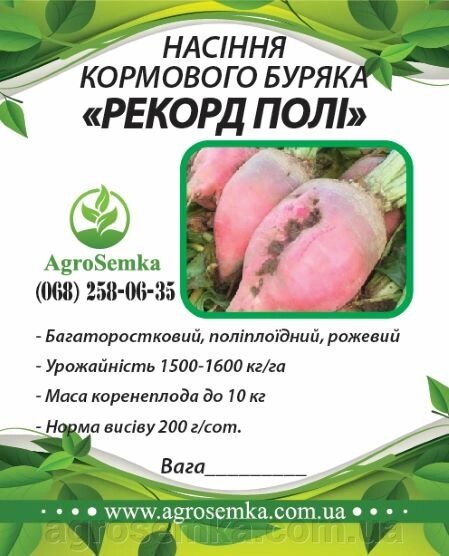 Буряк кормовий "Рекорд Полі"рожевий  (Польща) / 1кг від компанії AgroSemka - фото 1