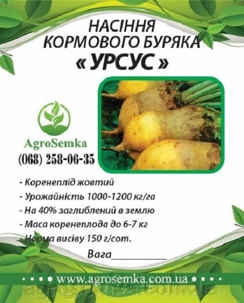 Буряк кормовий "Урсус" жовтий (Україна) насіння / 1кг від компанії AgroSemka - фото 1
