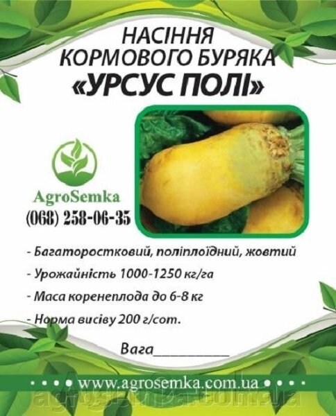 Буряк кормовий жовтий"Урсус Полі" (Польща) насіння / 1кг від компанії AgroSemka - фото 1
