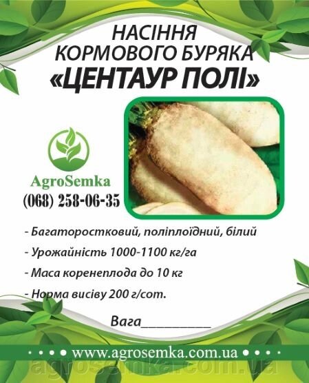 Кормовий буряк "Центаур Полі" білий (Польща) насіння / 1кг від компанії AgroSemka - фото 1