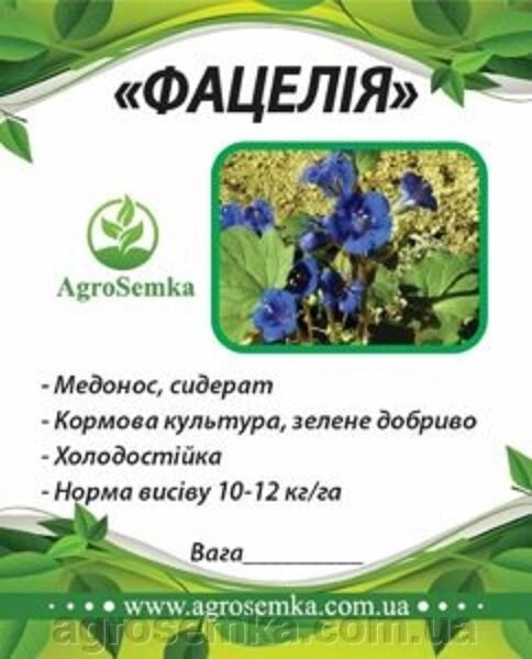 Насіння Фацелія медоносна посівна однорічна, 1кг урожай 2021р від компанії AgroSemka - фото 1