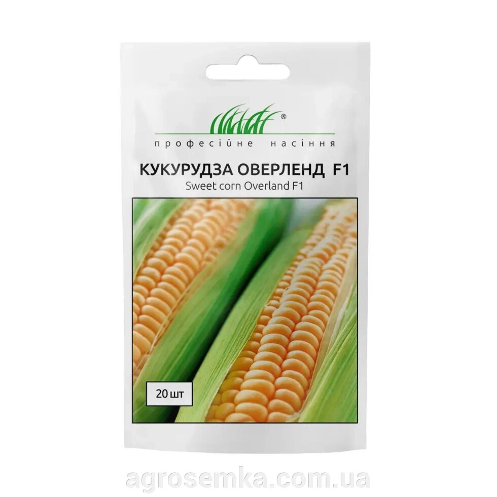 Насіння Кукурудза Оверленд F1 20 шт / Syngenta від компанії AgroSemka - фото 1