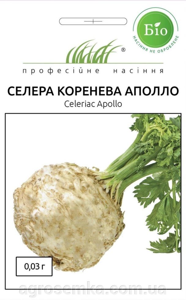 Насіння Селера кореневої Аполло 0,03 г / Wing Seed від компанії AgroSemka - фото 1