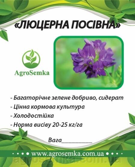 Насіння трави Люцерна (намагніченість) багаторічна посівна, 1 кг урожай 2023 р від компанії AgroSemka - фото 1