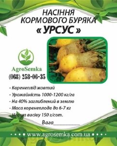 Буряк кормовий "Урсус" жовтий (Україна) насіння / 1кг