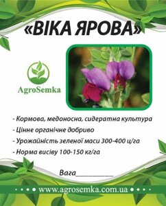 Насіння трави Віка, 1 кг в Київській області от компании AgroSemka