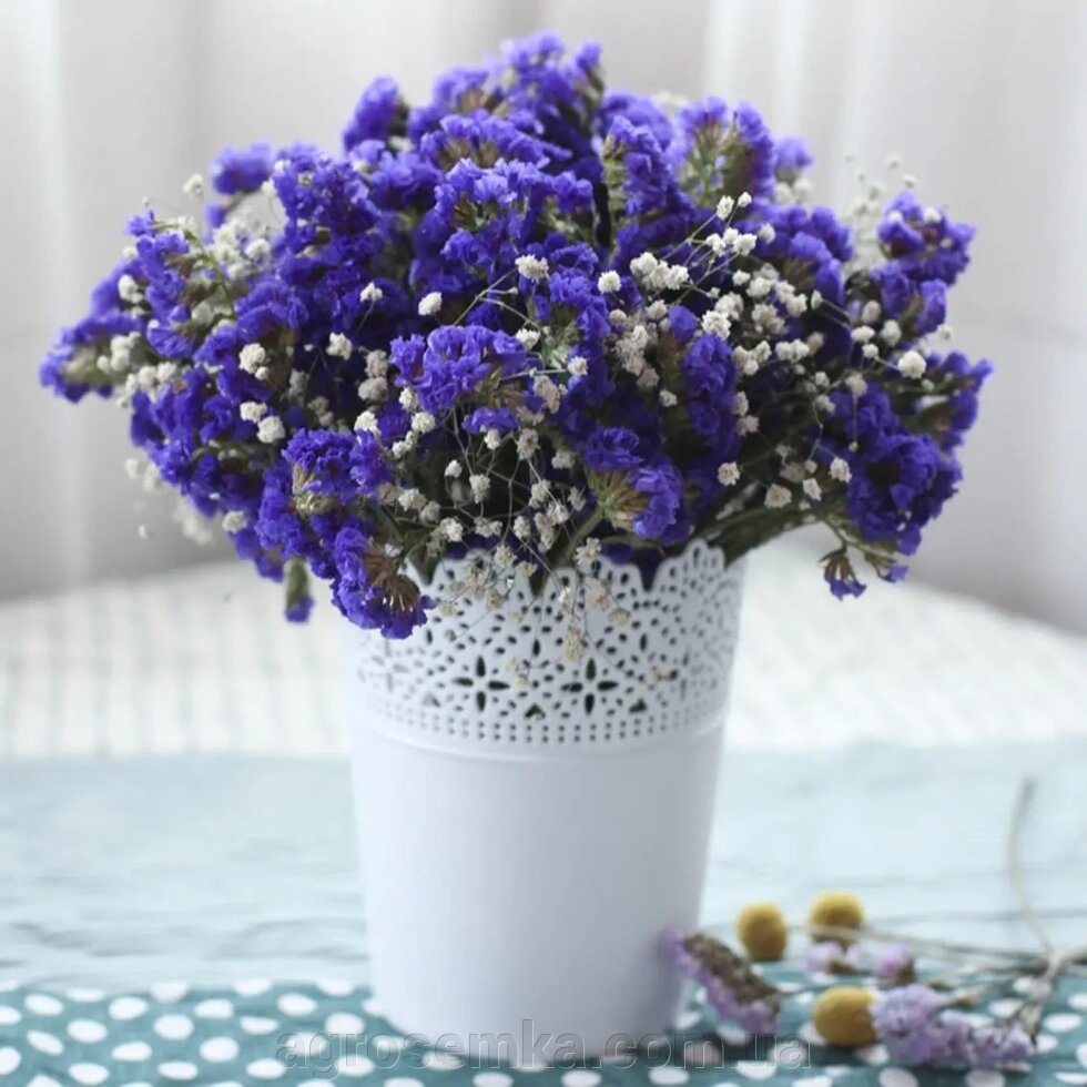 Статиця Синя Річка 0.1г ##от компании## AgroSemka - ##фото## 1