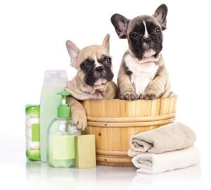 Предмети та засоби гігієни для тварин