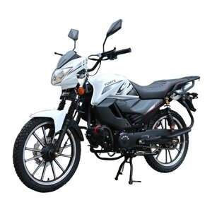 МОТОЦИКЛ ALFA FT125-LX Forte Об'єм. 125 см3 шинах 13''/13'' купити в інтернет-магазині