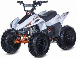 Квадроцикл KAYO AY70 FOX 72 см3 3.1/8000 4-тактний, повітряне охолодження (R - N - F) купити дешево в Україні