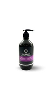Шампунь з екстрактом чорного часнику HAIRGENESIS BLACK GARLIC SHAMPOO JeuDerm, 500 мл
