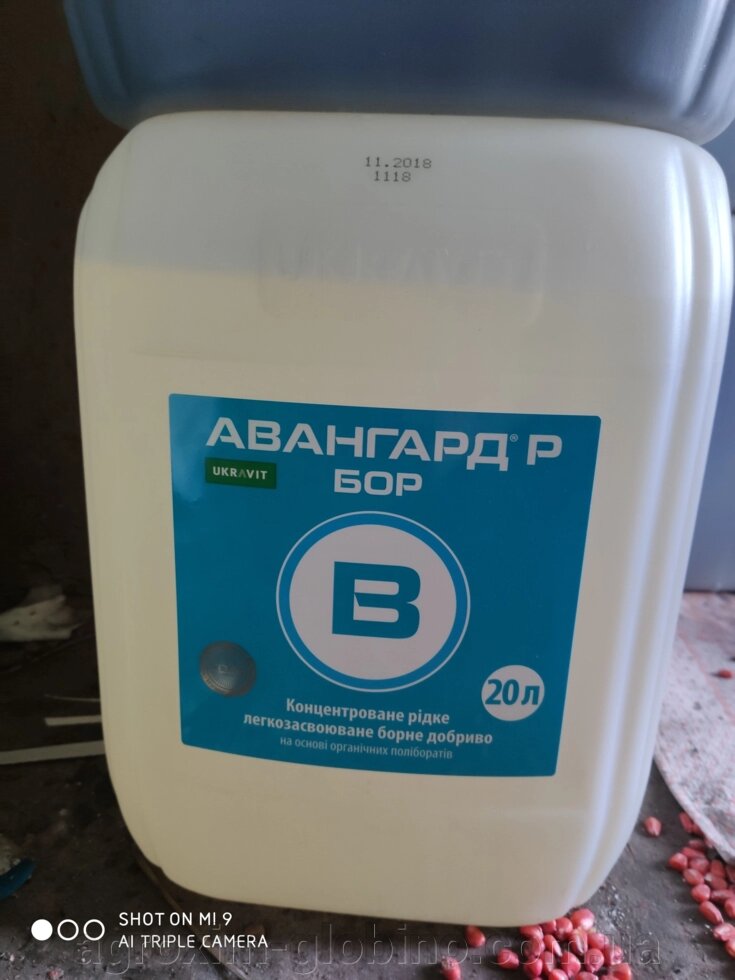 Авангард Бор 150г/л мікродобриво Хелат бору ##от компании## "Агрохімія" Засоби захисту рослин та Посівний Матеріал - ##фото## 1