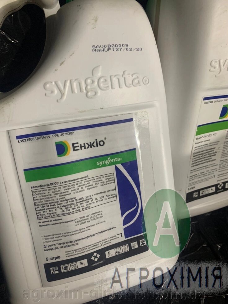 Енжіо Інсектіцід Syngenta (тіаметоксам, 141 г / л лямбда-цигалотрин, 106 г / л) від компанії "Агрохімія" Засоби захисту рослин та Посівний Матеріал - фото 1