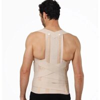 Коректори постави