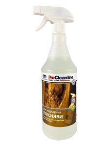 Мийний засіб для видалення цвілі з розпилювачем (0.96 кг)
