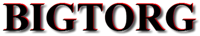 WWW. BIGTORG. COM