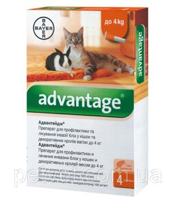 Bayer Адвантейдж 40 для котів і кроликів менше 4 кг.