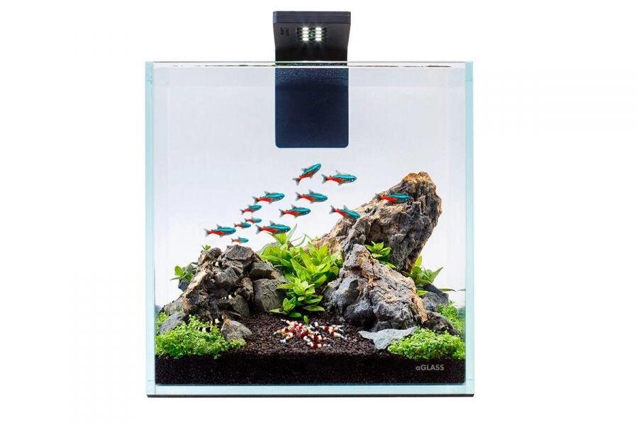 Акваріумний комплект Nano Set 10 літрів ##от компании## Інтернет-магазин MyAquarium - ##фото## 1