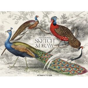 Альбом для малювання Школярик для ескізів та малювання, MUSE А5 40 аркушів 115г/м2 (PB-GB-040-068)