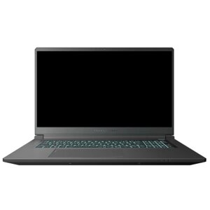 Ноутбук Thunderobot 911 X17 (911X17-i7136H56C1Q165MBD)