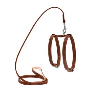 Шлей для собак Collar з поводком для малих порід Ш 14 мм Д 122 см коричнева (05476)