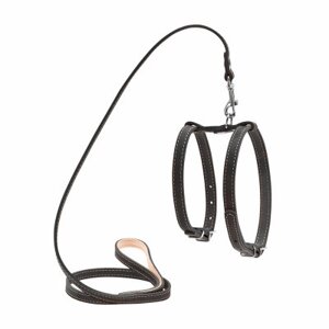 Оригінал! Шлея для собак Collar з повідцем для малих порід Ш 14 мм Д 122 см чорна (05471) - Вища Якість!