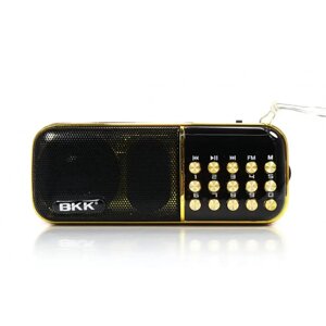 Радіоприймач з FM MicroSD BKK B851 радіо на акумуляторі 18650 радіо