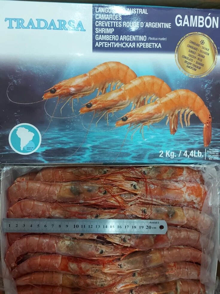 Лангустины Креветка королевская Langostino Austral L3 свежемороженая ##от компании## Ikrafish_ua - ##фото## 1