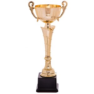 Кубок спортивний із ручками Zelart FEAST C-2060B висота 33 см золото