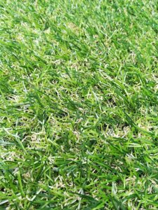 Штучна трава для газону декоративна 20мм ширина 2м або 4 м