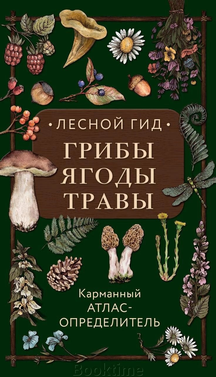 Книга: Лісовий гід: гриби, ягоди, трави. Кишеньковий атлас-визначник від компанії Booktime - фото 1