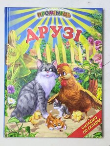 Книга "Друзі" Промінець