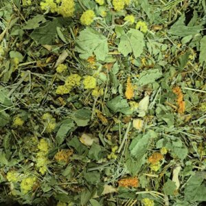 Збір трав'яний антипаразитарний, від паразитів чай, 100 г (своє виробництво)