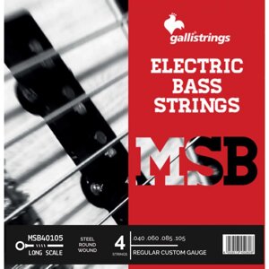 Струни для бас-гітари gallistrings MSB40105 4 strings regular custom
