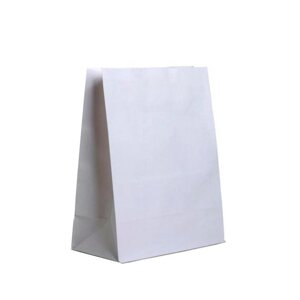 Пакет паперовий білий 19х28х11 см 20шт (6225)