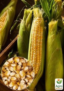 Про вагу кукурудзи "Бондуель" TM Vesna ціна за 40 г