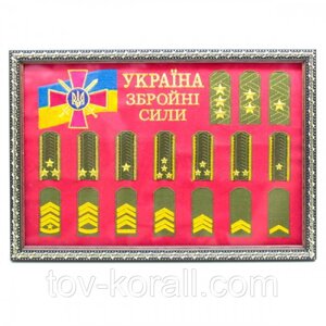 Подарункова вишивка в рамці "ВС України"