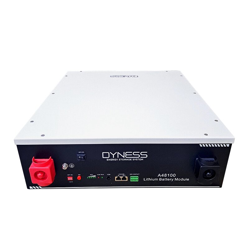 Акумуляторна батарея Dyness A48100 від компанії ЕНЕРГЕТИЧНА КОМПАНІЯ "ІНСОЛ" - фото 1