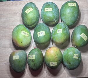 Манго фрукти Єгипту смачні свіжіше