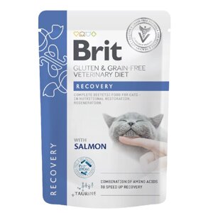 Вологий корм для котів GF VD Рекавери пауч лосось 85 г Brit Premium