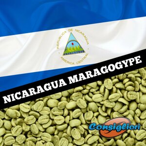 Зелений зернова кава "никарагуа марагоджіп", арабіка 100%