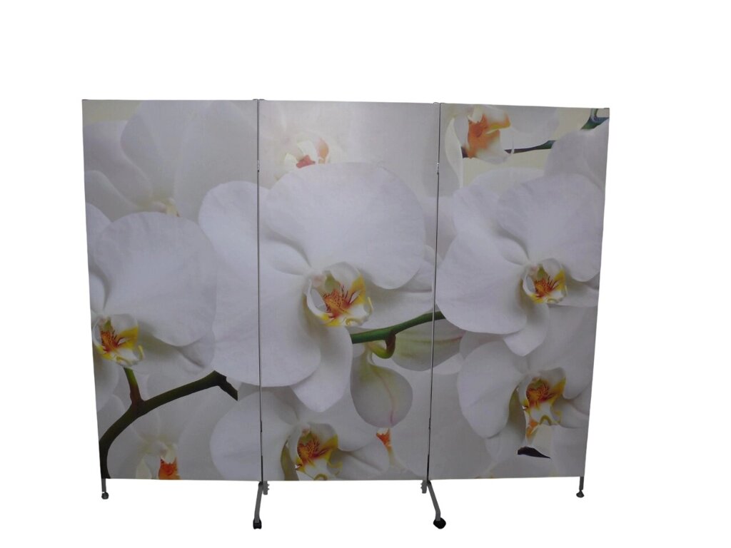 Ширма пластикова 1800 х2250 ммс зображенням від компанії ШирмаМаркет - фото 1