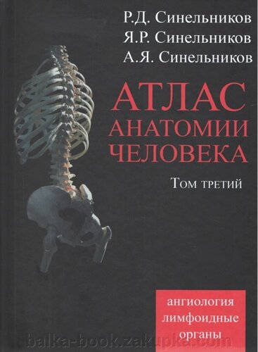 Атлас людської анатомії. Синельников у 4 томах. Том 3. Вчення судин та лімфоїдів