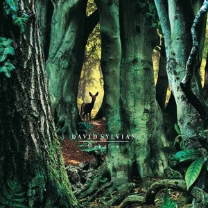 David Sylvian – Manafon (Vinyl)