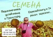 ООО *Аиф*